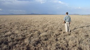 7 - Savana Africana – Quênia