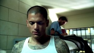 4 - Tatuagens