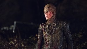 14 - Recaída