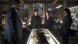 19 -  Quem é Harrison Wells?